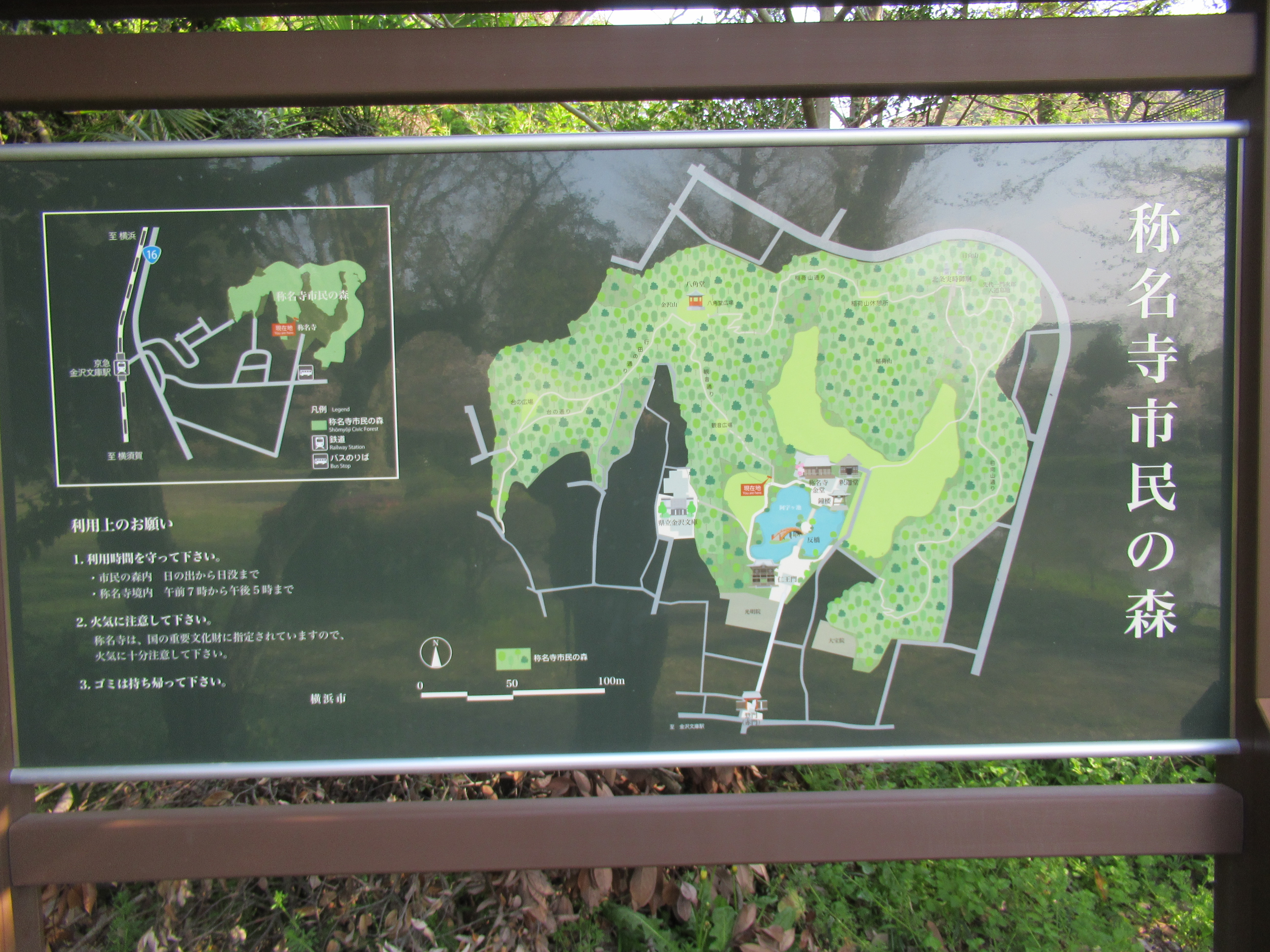 称名寺自然の森