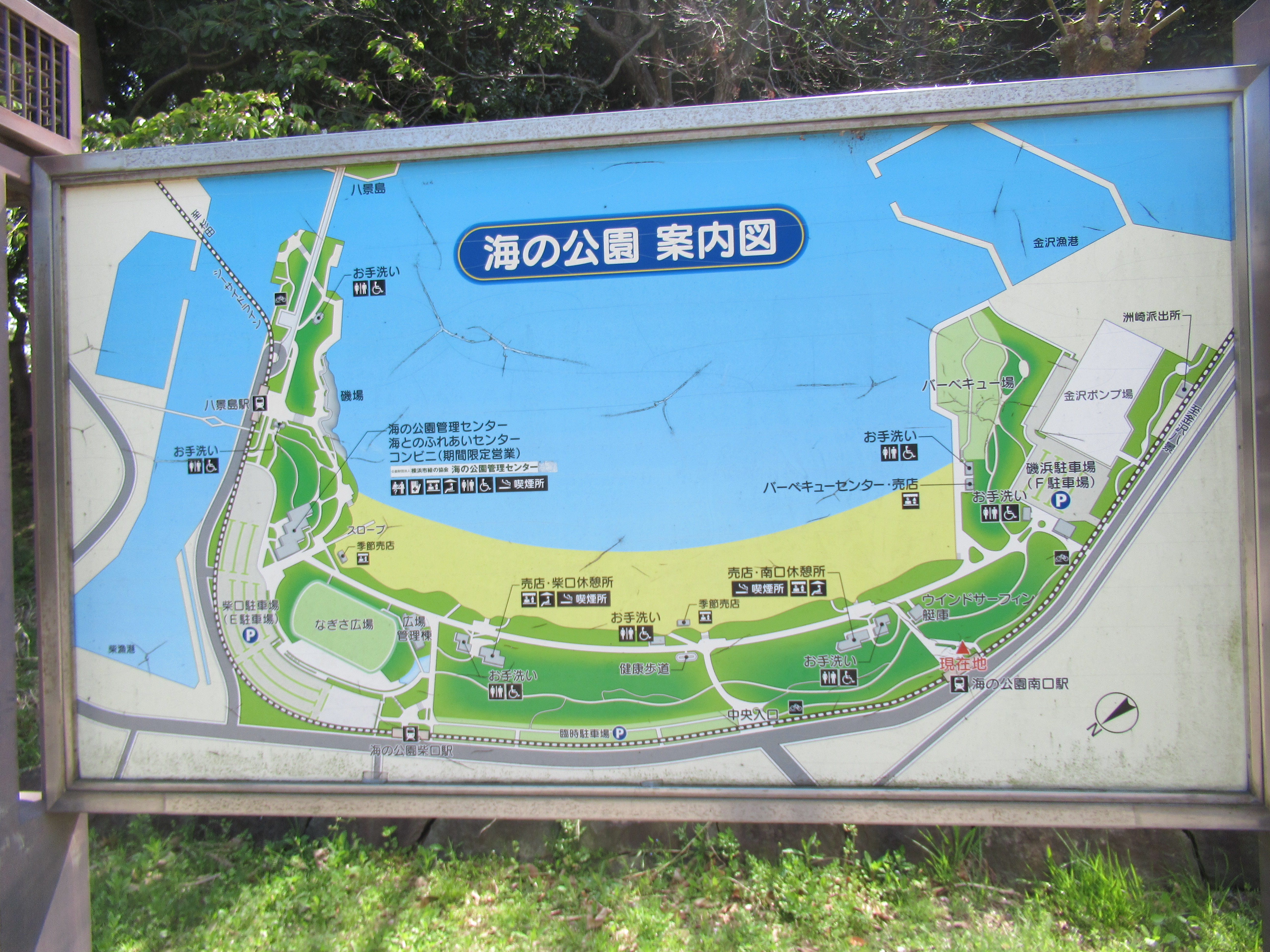 海の公園案内図