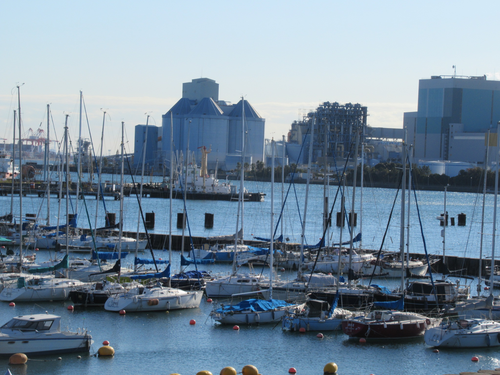 ヨットハーバー