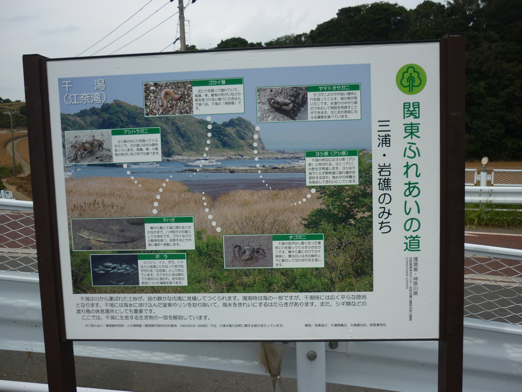 関東ふれあいの道