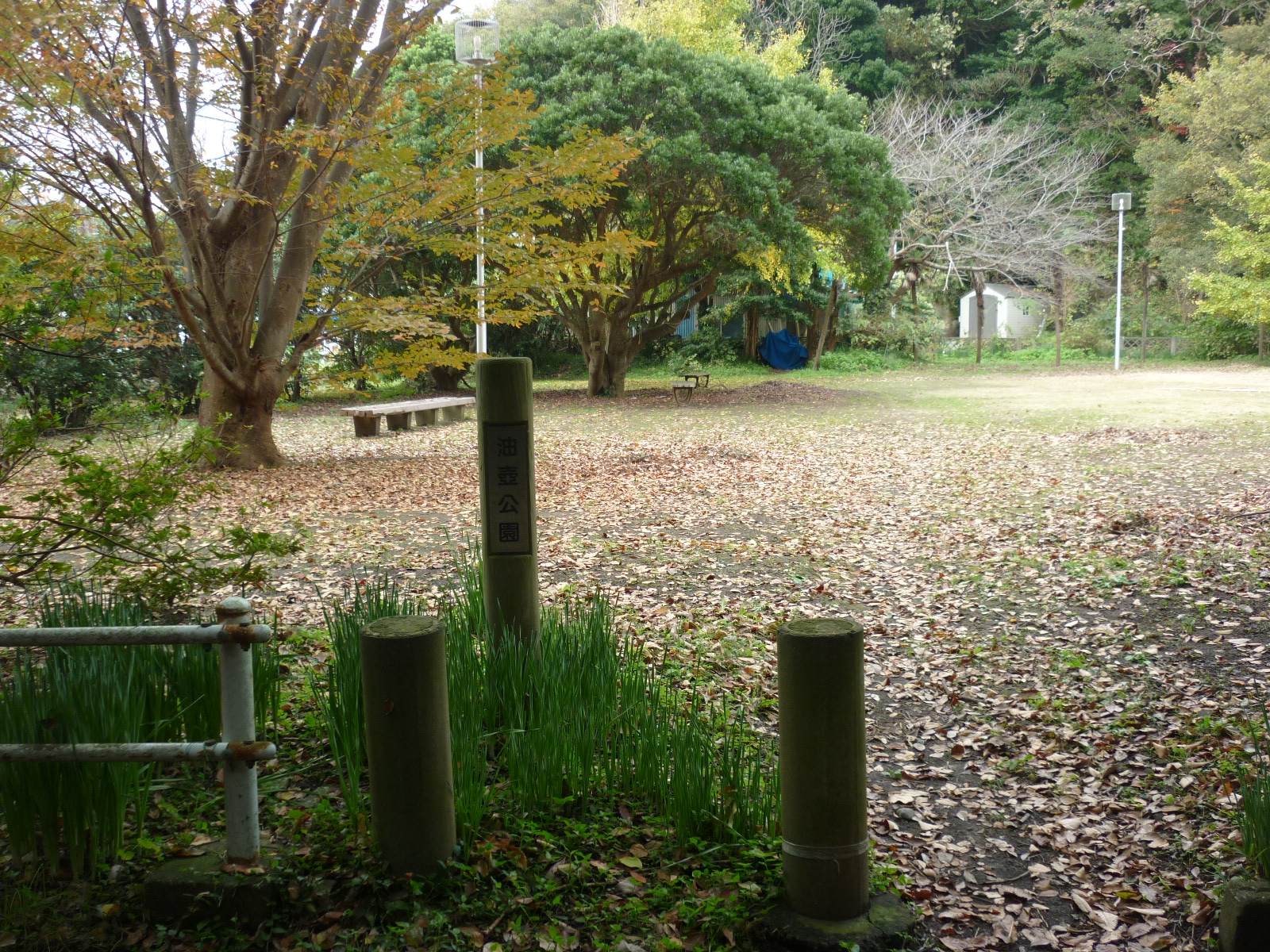 ���ٌ���