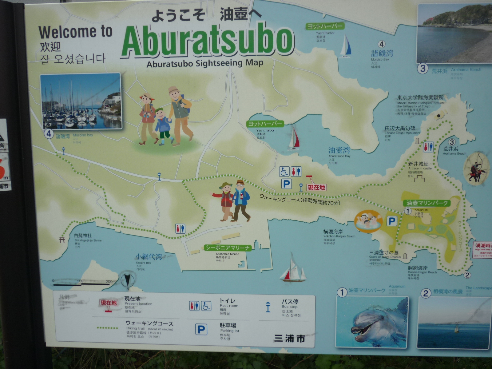 �E�H�[�L���O�R�[�X