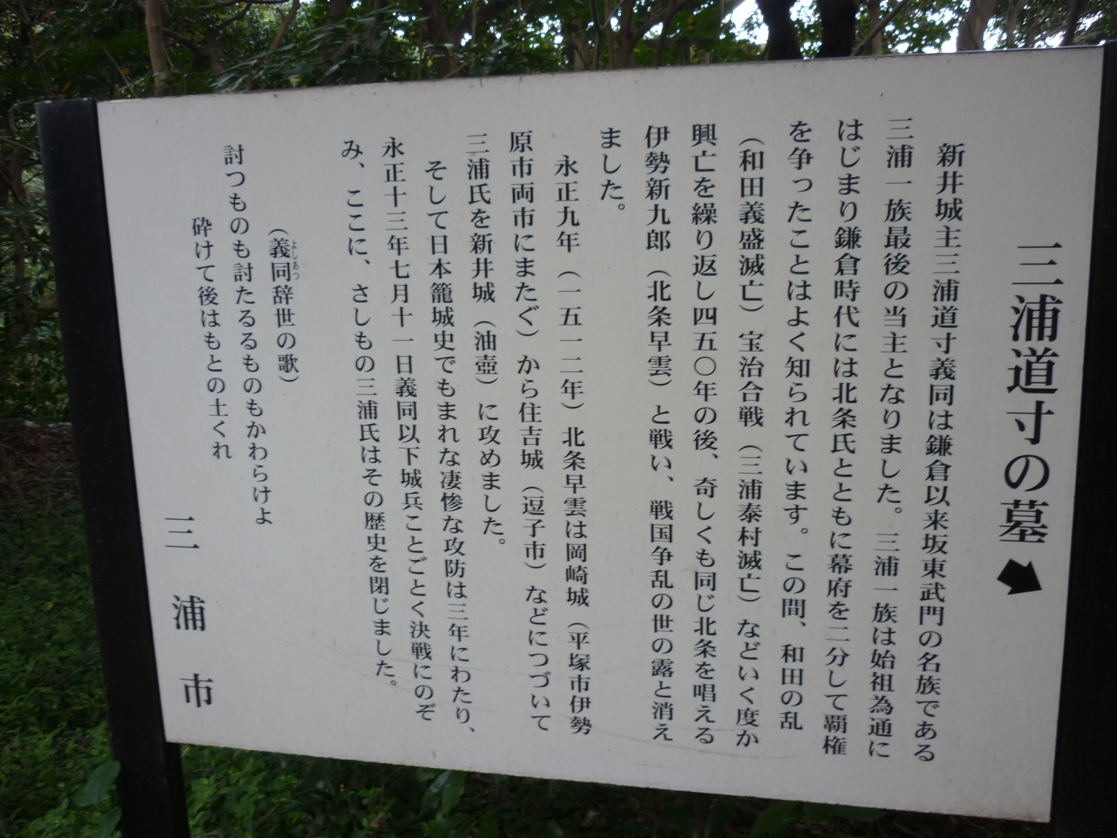 �O�Y����