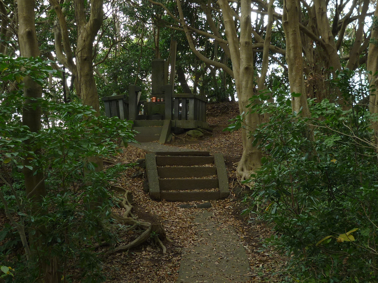 �O�Y����