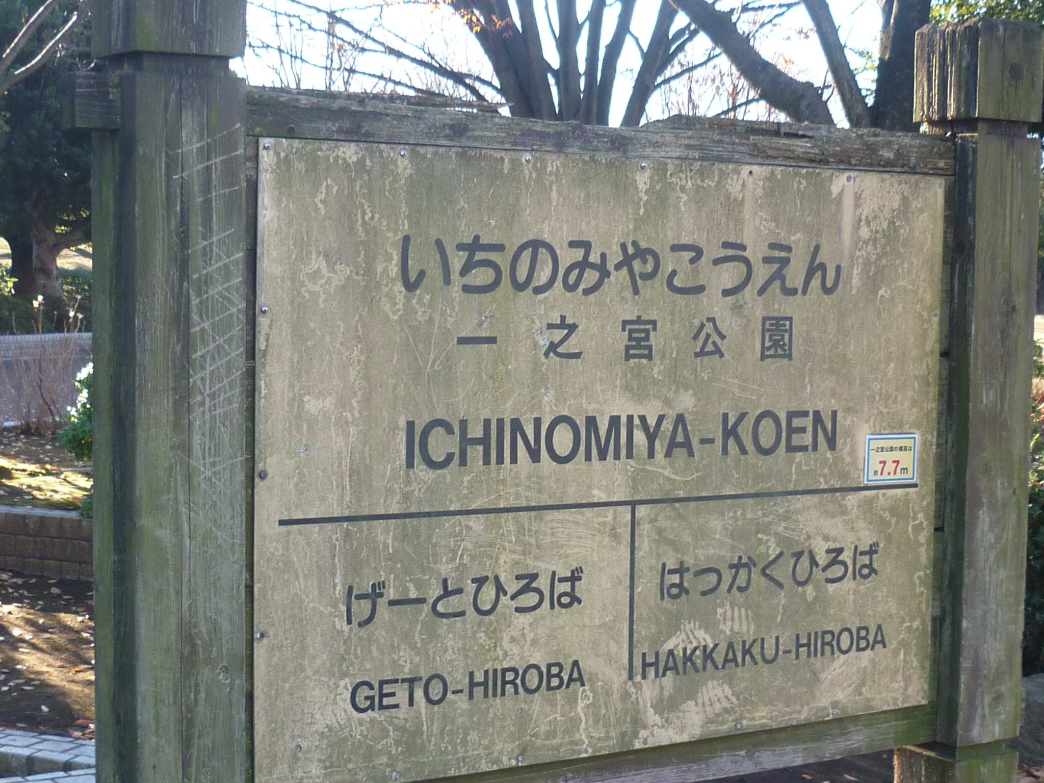 ��V�{����