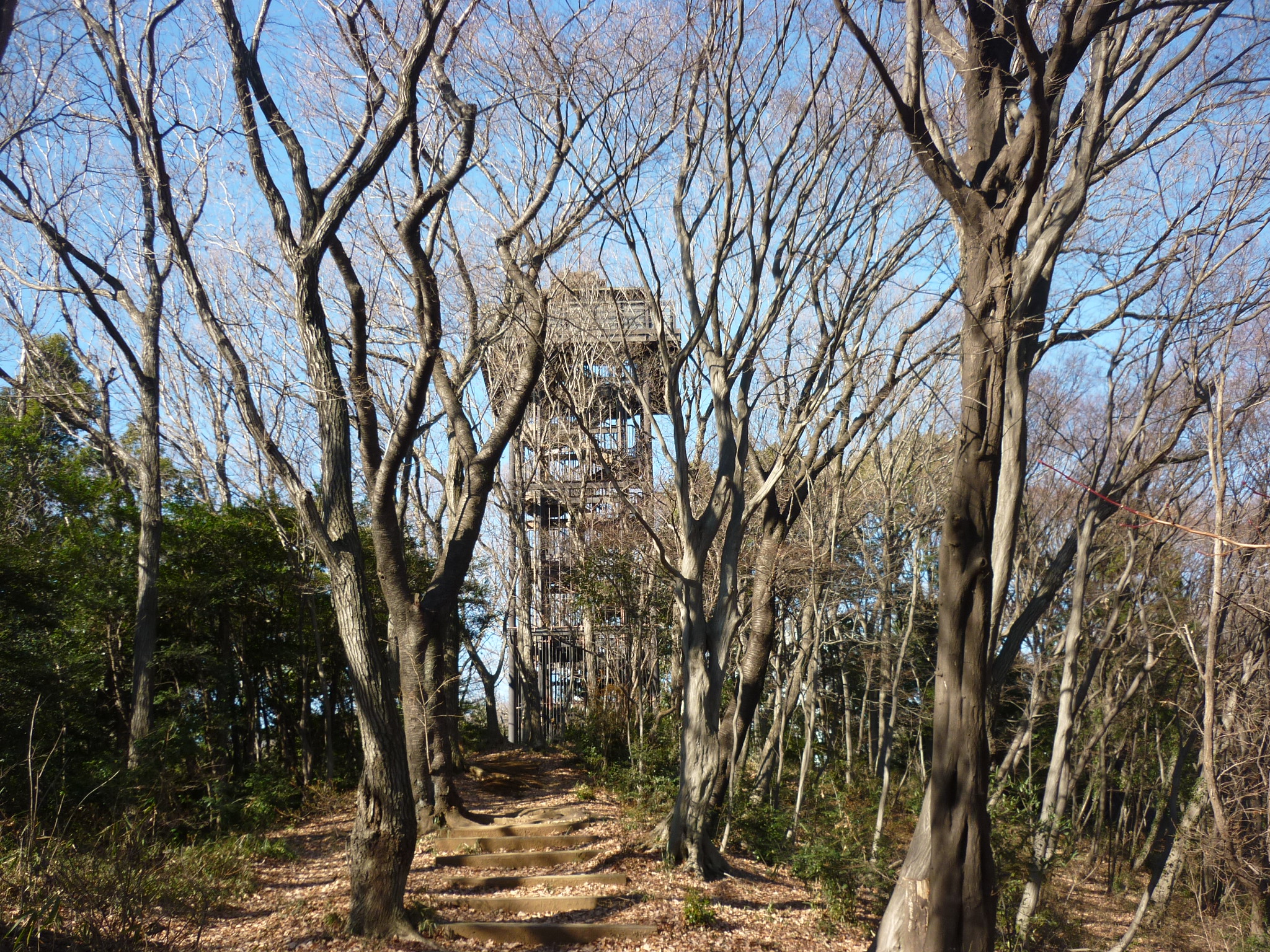 ファインタワー