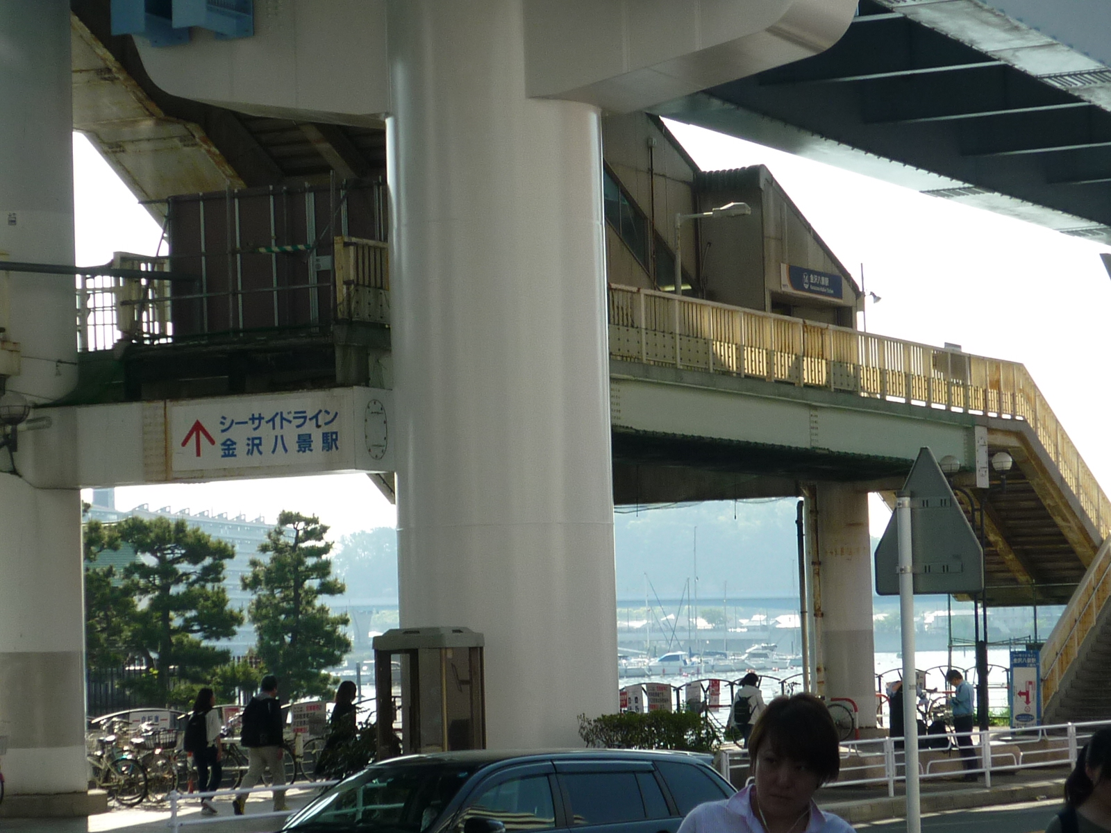 ���򔪌i(�V�[�T�C�h���C��)