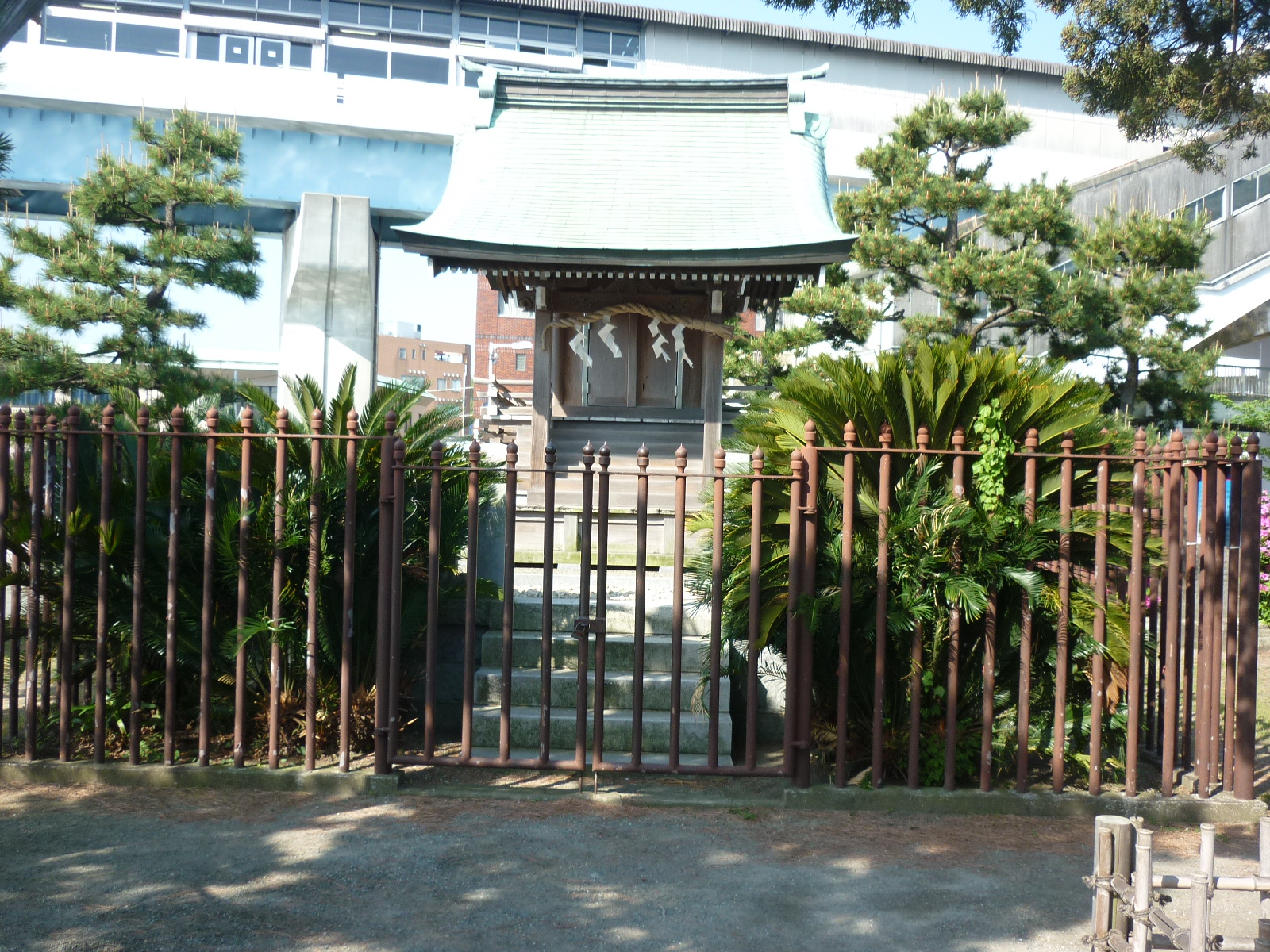 ���f���_��