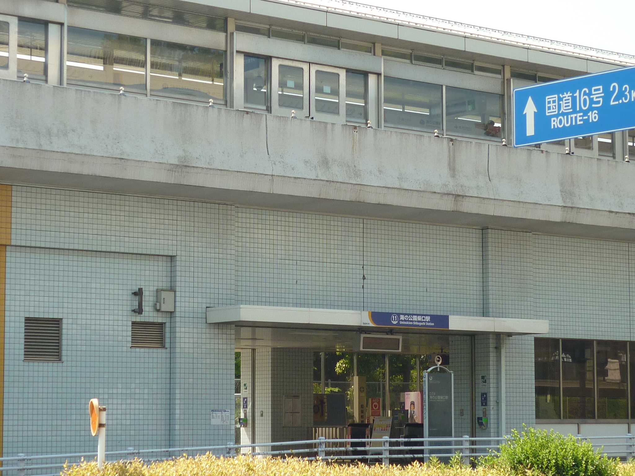 �C�̌����Č��w