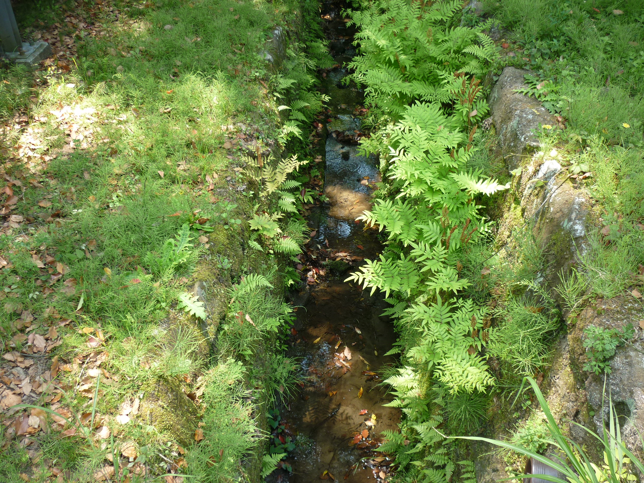 ���l���H