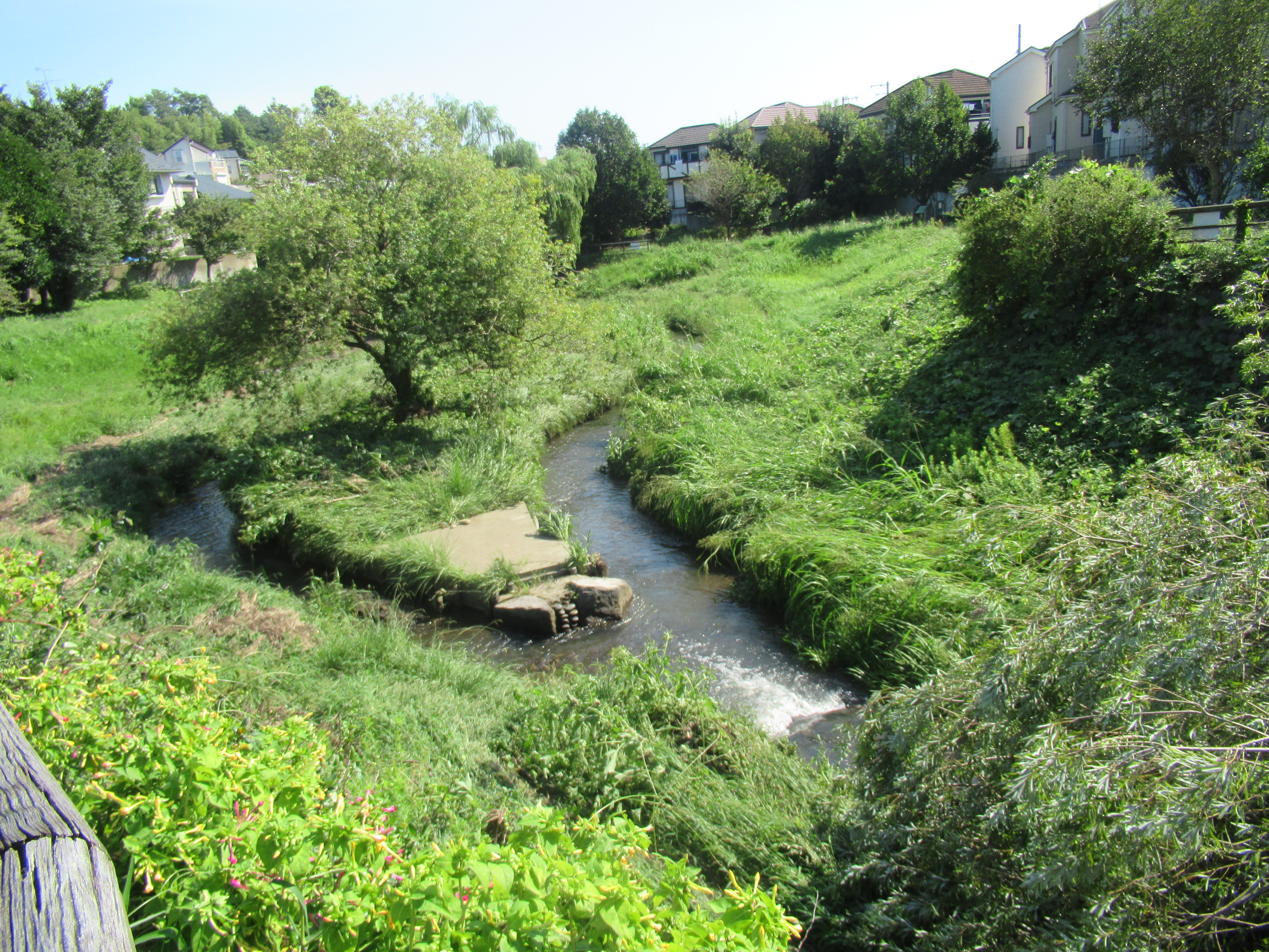 �一本橋めだか広場